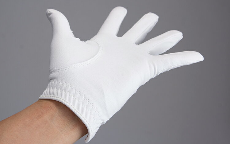 【1/1～1/3 エントリー/抽選で最大500%ポイントバック】 EON SPORTS イオンスポーツ 正規品 ZEROFIT ゼロフィット INSPIRAL GLOVES インスパイラル 人工皮革 メンズ ゴルフグローブ ( 左手用 ) 【当店在庫品】