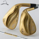 【限定品】 KASCO キャスコ 正規品 DOLPHIN WEDGE DW-123 GOLD ドルフィン ウェッジ ゴールド ( ストレートネック ) ダイナミックゴールド95スチールシャフト 2025新製品 【当店在庫品】