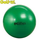 Golfit! ゴルフイット ライト正規品 エクササイズボール グリーン 「X-27」 「SDS-65」