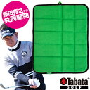 tabata golf(タバタゴルフ)日本正規品 藤田寛之プロ共同開発 藤田タッチマット (寄せワンアプローチ) 2018モデル 「GV-0287 GR」 「ゴルフ練習用品」【あす楽対応】