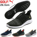 【【最大3300円OFFクーポン】】PUMAGOLF(プーマゴルフ) 日本正規品 IGNITE NXT SoleLace (イグナイトNXTソーレース) スパイクレスゴルフシューズ 2019新製品 「192224」 サイズ:29.0cm 【あす楽対応】