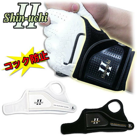 Shin-uchi2 シンウチ2 練習用具 SD-212  ゴルフスイング練習用品 【あす楽対応】