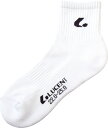 LUCENT(ルーセント) LADIES ソックス XLN2869 ブラック