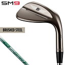 Titleist タイトリスト 日本正規品 VOKEY DESIGN ボーケイデザイン SM9 ウェッジ ブラッシュドスチール仕上げ NSPRO950GH neoスチールシャフト 2022モデル 「 845RS2 」 