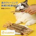 【10個セット】猫歯磨き棒 マタタビ 噛むおもちゃ 噛む棒 猫の歯磨き 猫マタタビ猫おもちゃ ストレス解消 運動不足解消 子猫用噛むおもちゃ 猫デンタルケアおや...