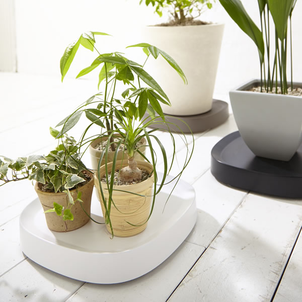 【6月5日はポイント最大10倍祭】ティディ プランタブル tidy Plantable 植木鉢 キ...