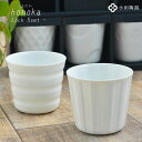 湯呑み セット ほのかギフトセット【ロック5個+箱】 小田陶器 honoka おしゃれ 北欧 美濃焼き 日本製 かわいい 来客用 白磁 内祝い 御祝い 新築祝い...