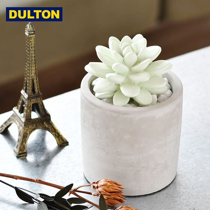 【スーパーセール期間中最大P26倍！】DULTON ダルトン フレグランス ディフューザー サボテン ディフューザー 香り 芳香 アロマディフューザー ルームフレグランス 100ml プレゼント ギフト インテリア フレグランス シンプル 植物 おしゃれ 人気 玄関 室内 お祝い 新生活のサムネイル