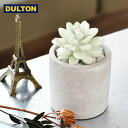 【2000円以上ほぼ送料無料！】DULTON 