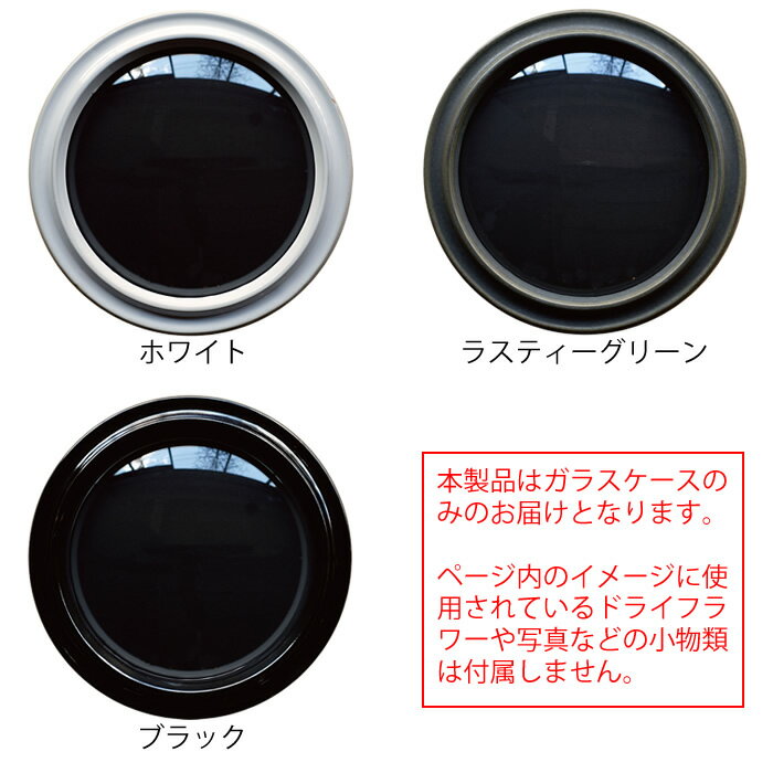 【5日はポイント最大10倍祭♪】Convex ガラスケース Lサイズ [ケース単品] 陶器 フレーム 壁面 壁掛け インテリア おしゃれ ディスプレイケース ガラス 日本製 ホワイト ブラック グリーン ギフト プレゼント WEST VILLAGE TOKYO