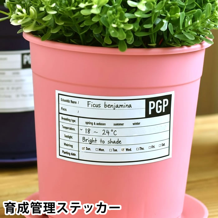 商品名 PLANTS GROWING POTS 育成管理ステッカー 5枚セット 商品詳細 サイズ 2枚入り：約 W9.5×D5.5cm 3枚入り：約 W9×D5cm 素材 耐候性粘着シート 原産国 日本 備考 ※貼付する面の汚れ、水分、油分、ほこりなどを十分に取り除いてからご使用ください ※凹凸のある面やザラついた面、特殊加工された面では、十分な接着力が得られない場合があります。 ※使用環境や貼付場所により、剥がれや劣化の時期は異なります。 【耐光性について】 ・屋外での使用を想定した耐候性仕様ですが、長期間直射日光にさらされることで、紫外線の影響による色あせや印刷面の劣化が発生する場合があります。 ・設置場所（日当たり、雨風の影響、温度変化など）により、耐久性は異なります。 検索キーワード ガーデニング ステッカー PLANTS GROWING POTS 育成管理ステッカー 鉢植え ガーデン雑貨 園芸ラベル 観葉植物 園芸ステッカー プランター ステッカー シールラベル 植物 タグ シンプル ガーデン雑貨 プランター シール おしゃれ ラッピング ラッピングOK →詳細はこちらPLANTS GROWING POTS 育成管理ステッカー 5枚セット 育てる記録を、見える化植物管理も楽しく♪ガーデニング ステッカー 学名や品種名、育成環境、適温、水やりスケジュール、植付日などをひと目で確認できるプランターラベルです。植物ごとの管理情報をまとめて記録できるため、水やり忘れや管理ミスを防止。観葉植物や多肉植物、家庭菜園にもおすすめです。おしゃれな見た目と屋外での使用を想定した耐候性仕様で、ガーデニング空間を彩りながら植物管理をサポートします。 関連商品 PLANTS GROWING POTS 3個セット PLANTS GROWING POTS 3サイズ同色セット PLANTS GROWING POTS 育成管理ステッカー