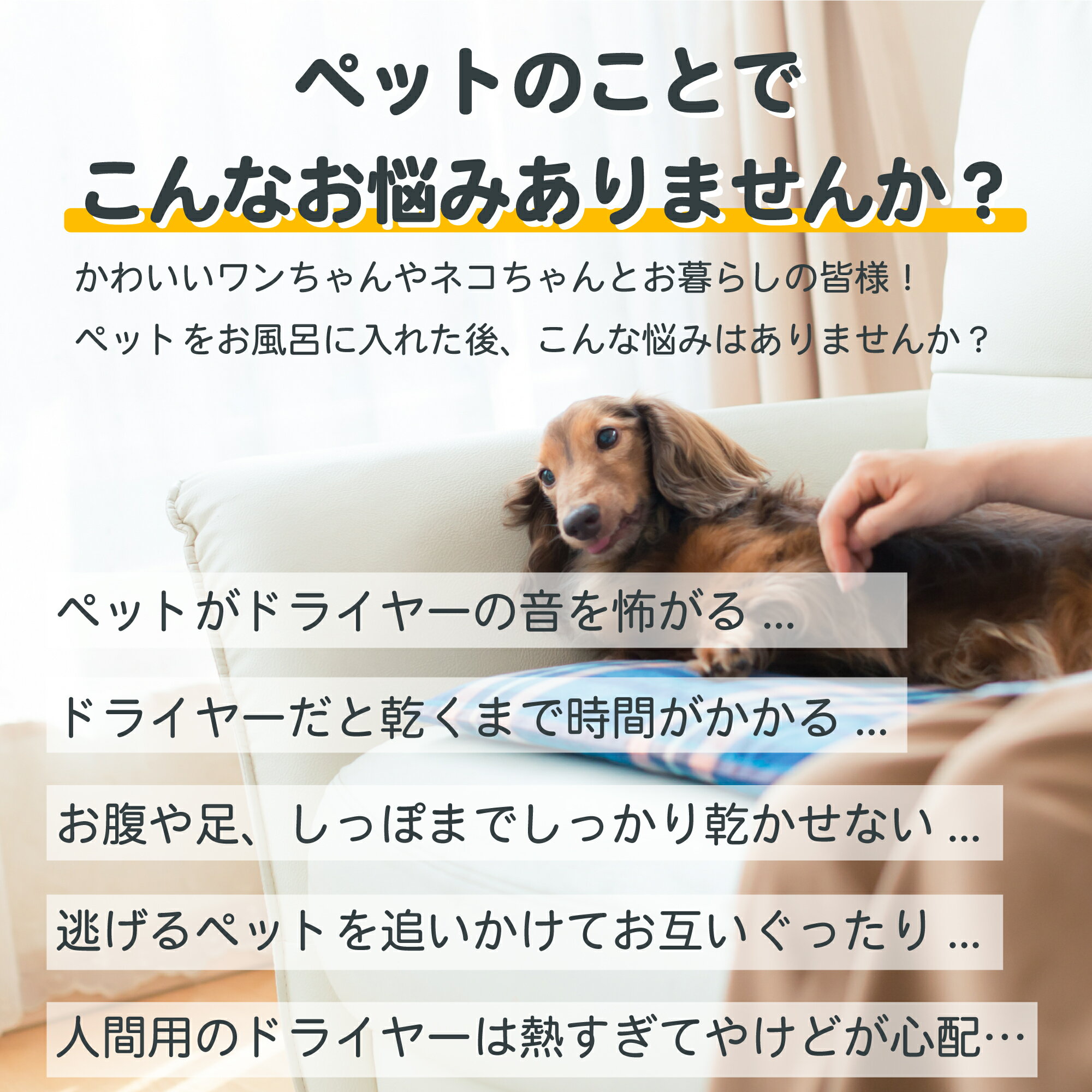 Drybo Plus ペットドライヤー ハウス PD50 自動 ペット乾燥箱 犬 猫 ペット乾燥機 急速乾燥ケース 静音 オールシーズン お手入れ簡単 ハンズフリー Makuake ドライヤーボックス Homerunpet 日本規格 PSE取得 風速 温度調整 ポカポカ ドライヤールーム ホームランペット 3