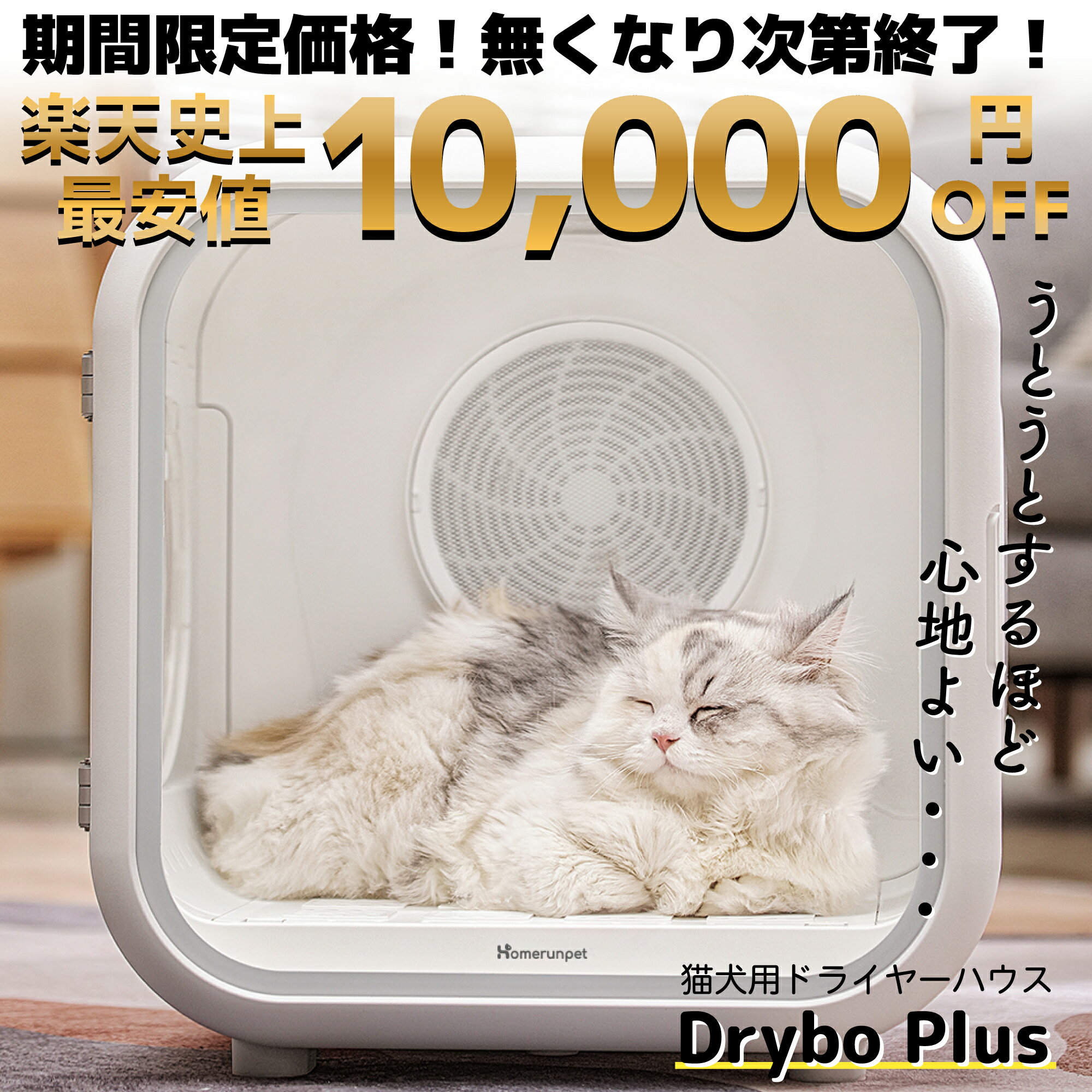 その他アウトドアグッズ×便利グッズの人気おすすめランキング｜野に行く。