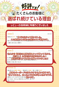 iPad 第9世代 10.2インチ 第8世代 iPad Air 10.9インチ iPad Pro 11インチ iPad 第7世代 キーボード ケース iPad Air 10.5インチ iPad 9.7インチ タッチパッド搭載 ペン収納 US配列 Bluetooth オートスリープ スタンド 軽量 技適認証済 在宅 ワーク ewin 送料無料