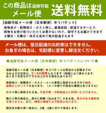 【マラソン開始4時間限定!15%OFFクーポン有】風呂敷 大判 105cmサイズ バッグ 切取更紗ふろしき 名入れ可 日本製 おしゃれ 一升餅 一生餅 1歳 誕生日 バッグ リュック フロシキ【店頭受取対応商品】