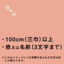 風呂敷 追加オプション プリント ペンテックス 名入れ 100cm 三巾 以上の風呂敷に姓又は名前 3文字まで 一升餅 1歳 誕生日 お祝い バッグ ふろしき ギフト プレゼント 出産内祝い 出産祝い 男性 女性 子供 女の子 男の子 ポイント消化 2024 母の日