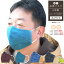 マスク 洗える 日本製 縁起柄 和心 立体 布マスク 綿 和柄 和風 メンズ 大人 男性用 おしゃれ かわいい トンボ 個包装 メール便 送料無料 2024 母の日