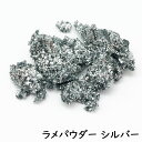 【ワークショップパーツ】 ラメ パウダー シルバー (粉状) 【グリッター ラメパウダー キラキラ スノードーム 手作りキット】 小学生 工作キット 簡単 クリ...