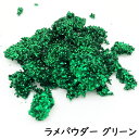 【ワークショップパーツ】 ラメ パウダー グリーン (粉状) 【グリッター ラメパウダー キラキラ スノードーム 手作りキット】小学生 工作キット 簡単 クリス...