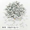  アクション ラメ B-13 シルバームーン 