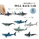【 海の生き物 】 プルバックカー 全6種類 クジラ サメ シャチ 【 子供 子ども キッズ 玩具 おもちゃ 】