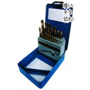 MTO チタンコーティングドリルセット19pcセット (1.0~10mm) PB19TCD【代金引換不可】