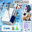 【17%offで4290⇒3560 10/27 10時まで】冷却ジェル 冷感パッド 冷却ジェルシート 冷たい ひんやり クール 冷感 涼しい 自然冷感 冷却シート アウトドア 登山 暑さ対策 ベビーカー 子供用品 熱中症対策 リュック用 バックパック 軽量 軽い ボディー シート