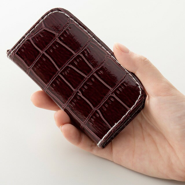 DX�ͥ��륱�����å�6P ��118911�� �����ƥå�