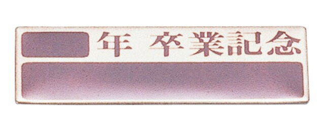 ´�ȵ�ǰ�ץ졼�ȡ�10���ȡ˥��������47100��