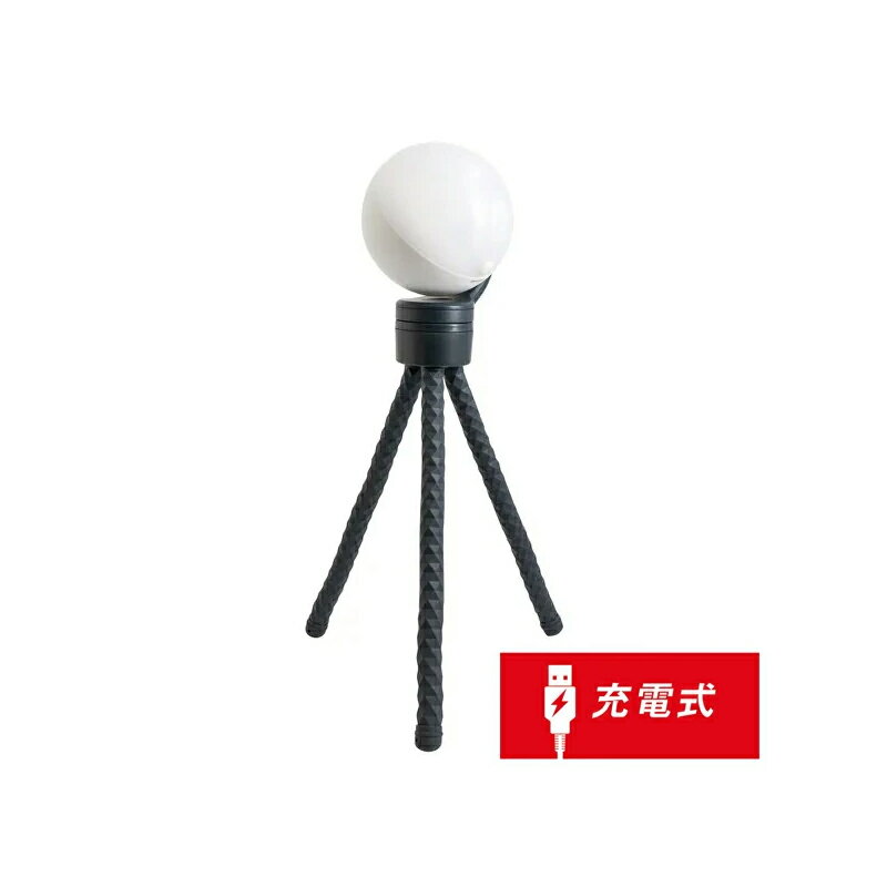 [RITEX][6ヶ月保証付/充電式LED人感センサーライト][調光付き]自由に曲がる三脚でどこでもセンサーライト3000 ASC-930/ASC930