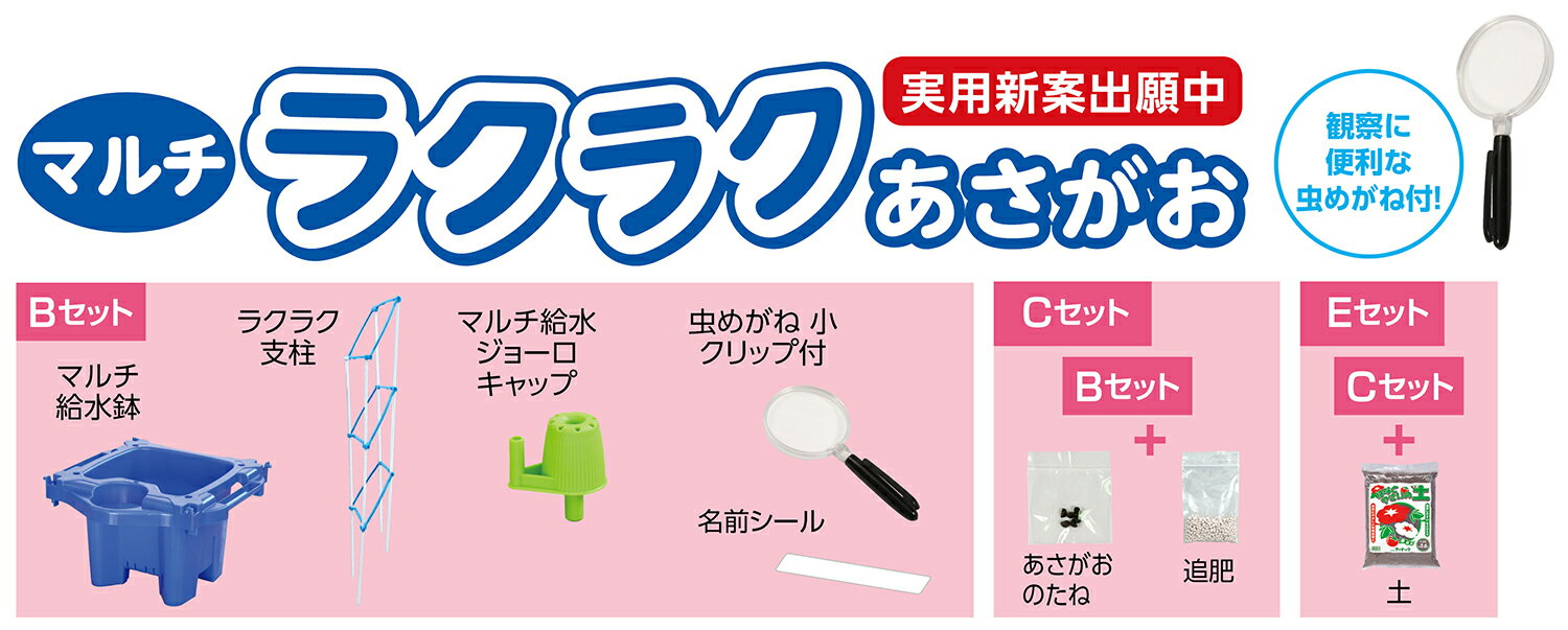 【3573】マルチラクラクあさがお虫めがね付Eセット アーテック