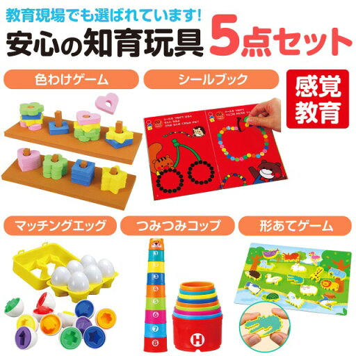 アーテック 感覚教育5点セット【21660】 アーテック 感覚教育5点セット【21660】