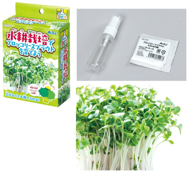 水耕栽培でブロッコリースプラウトを育てよう【55944】 アーテック