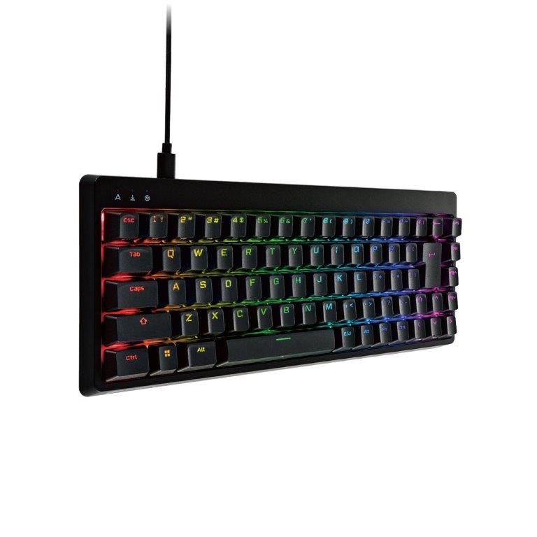 ☆マラソン期間中ポイント10倍/[ELECOM]ゲーミングキーボード 【V custom】 有線 着脱式ケーブル RGB メカニカル ( 銀軸 / スピードリニア ) 日本語配列 テンキーレス USB Aポート×1 ブラック TK-VK300SBK/TKVK300SBK