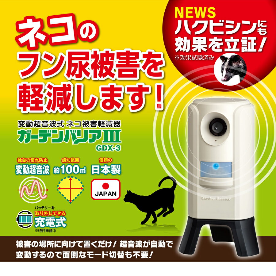 サンプル画像2