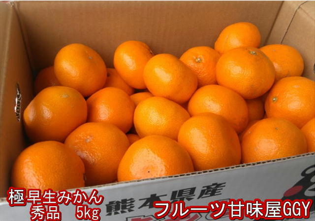 極早生みかん　秀品　1箱5kg　サイズL・M・S　熊本産　フルーツ　グルメ【送料無料】一部の地域を除く　80サイズ