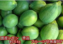 国産レモン 秀品 サイズ3L〜S熊本産 1箱 箱込約5kg 80サイズ