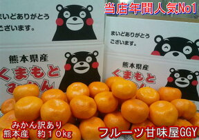 みかん　訳あり　約10kg （箱込10kg　9kg+保証分500g）熊本産 ご家庭用　フルーツ　果物【送料無料】（一部の地域を除く)