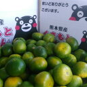 みかん 訳あり 大容量 約15kg 熊本産 ご家庭用 フルーツ 果物【送料無料】(一部の地域を除く)