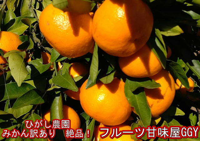 みかん　訳あり　約5kg　ひがし農園　福岡　八女産　こだわり絶品みかん　80サイズのサムネイル