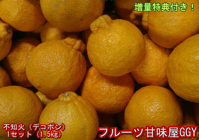 【セット】不知火 訳あり デコポンと同品種 1セット1.5kg 熊本産 2セット購入で1セットおまけ!3セット購入で3セットおまけ! 60サイズ