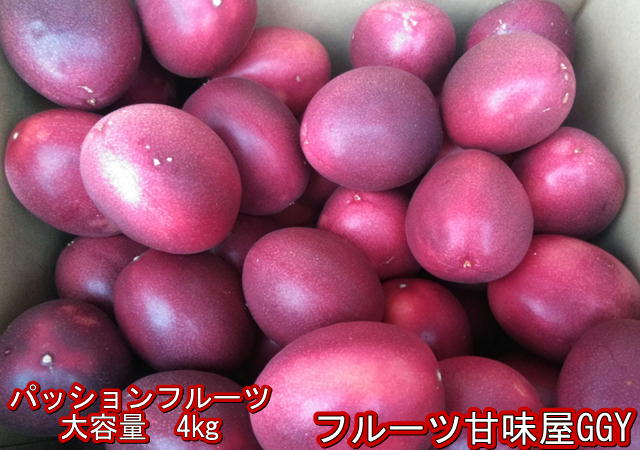 パッションフルーツ 大容量 4kg【熊本産】清田さんのパッションフルーツ【送料無料】一部の地域を除く 80サイズ