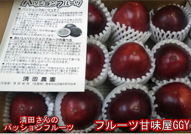 パッションフルーツ 約1kg 約9〜15玉 【熊本産】清田さんのパッションフルーツ【送料無料】一部の地域を除く 60サイズ