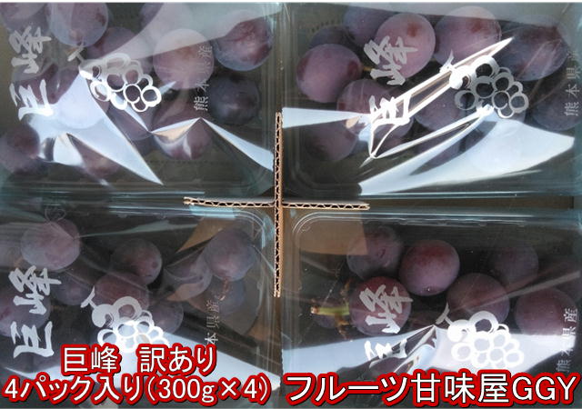 朝摘み巨峰　訳あり　4パック入り（約300g×4）熊本産　クール便発送　巨峰　ブドウ　80サイズ　　ブドウ　葡萄　ぶどうのサムネイル