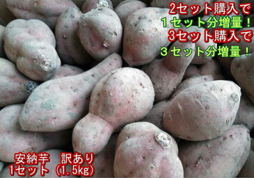 【セット】安納芋　訳あり　1セット（1.5kg）2セット購入で1セットおまけ！3セット購入で3セットおまけ！安納こがね　本場の味！種子島産