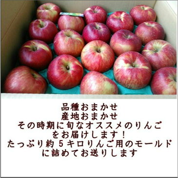 りんご 訳あり 約5キロ【約10〜25玉】【サンつがる・早生ふじ・サンふじ】など産地おまかせ【長野・青森・山形】約5キロ【約10〜25玉】【送料無料】一部の地域を除く