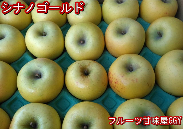 シナノゴールド　約10kg【約20〜56玉】長野・青森産　りんご　リンゴ　林檎　グルメ　120サイズ