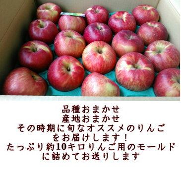 りんご 訳あり 約10キロ【約24〜50玉】【サンつがる・早生ふじ・サンふじ】など産地おまかせ【長野・青森・山形】約10キロ【約24〜50玉】【送料無料】一部の地域を除く 120サイズ