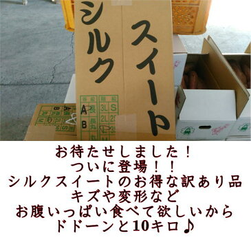 【クーポンで300円オフ+ポイント5倍】さつまいも 蜜芋 シルクスイート 熊本産 訳あり 1箱 箱込10キロ(9kg+保証分500g)サイズ 大・中・小【指定不可】【送料無料】一部の地域を除く 鉄腕!DASH テレビ TV 鉄腕ダッシュ