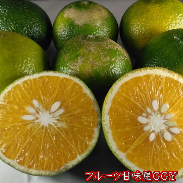 スイートスプリング 訳あり 約10キロ(9kg+保証分500g)熊本産 【送料無料】一部の地域を除く